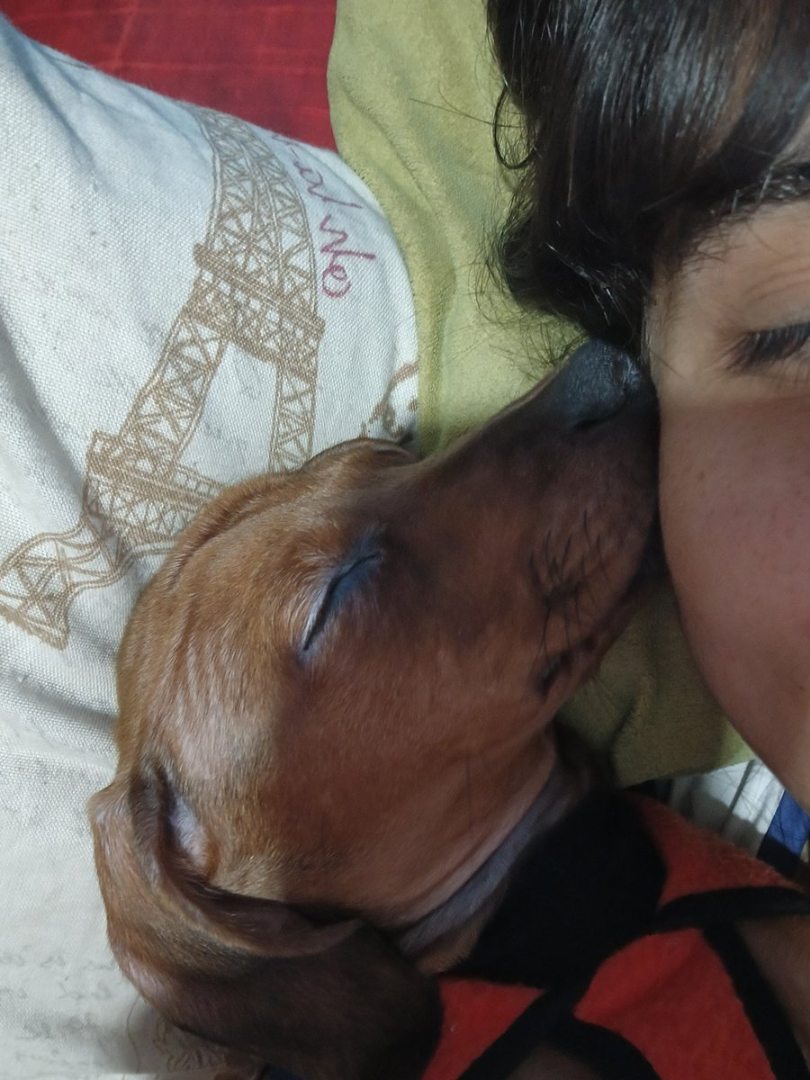 poemsdariaa's tweet photo. esta cosa cumple 7 meses wacho no puede ser https://t.co/OPF1NLgzU0