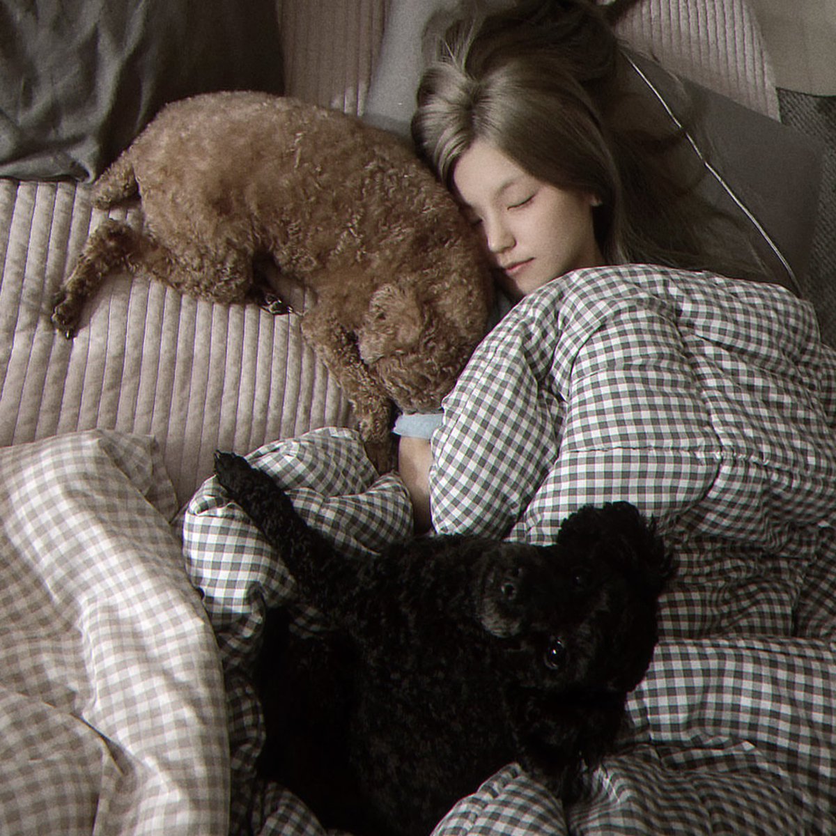 aswearem's tweet photo. — El amor de mi vida y dos arrimados en nuestra cama, te amo amor (@poeniarte) 💗🪷
•
•
#Wiwis https://t.co/uUwVK0Q8n5