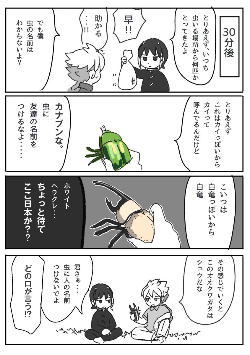 qju_ujp's tweet photo. (2/3) https://t.co/5ohfB7mSPC