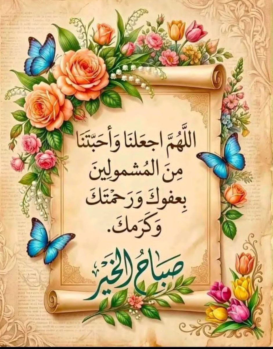 KhafagyTalat's tweet photo. @maha8321553 https://t.co/aWw4eOJKW4