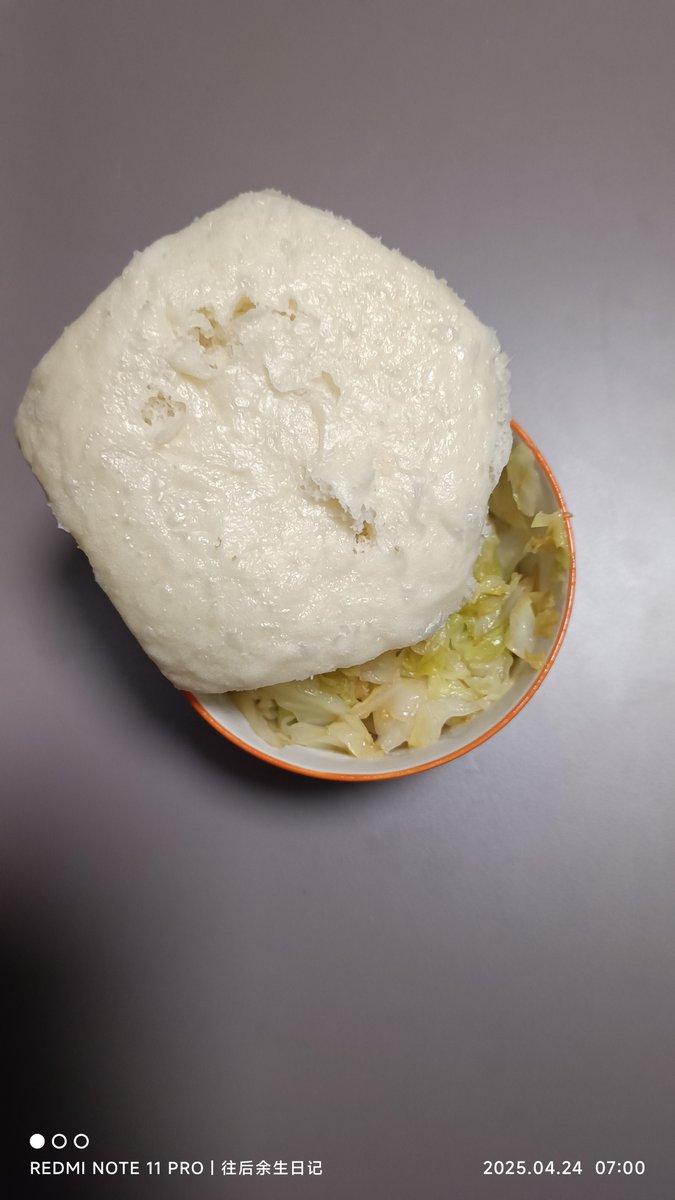 tianaauqygxea's tweet photo. Waking up to my own sourdough starter this year vs surviving on store-bought bread last year—small changes = big daily wins! https://t.co/7ytwma8Mdq