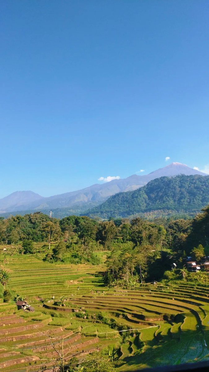 dfhlbyear's tweet photo. ini mata biar ga liatin adonan mulu https://t.co/MHmdTxANOm