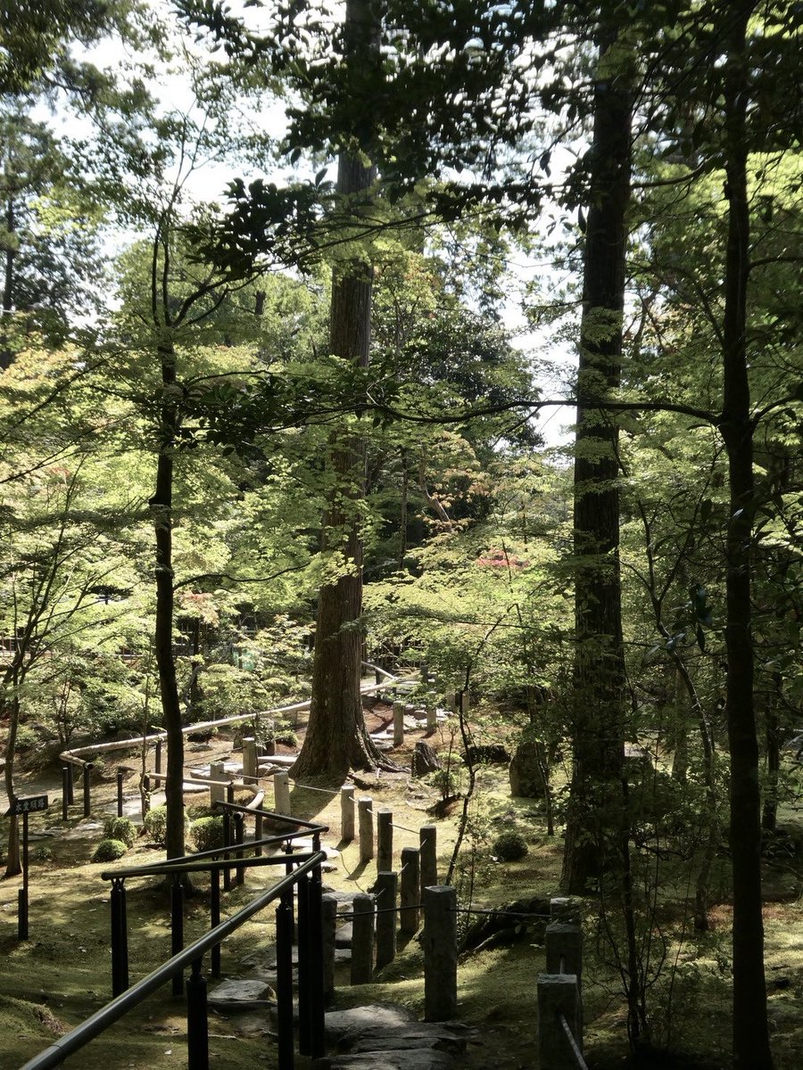 dreaming____A's tweet photo. 美しい寺 https://t.co/BRKhTqXziJ
