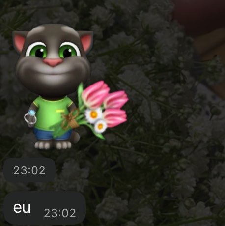 killunana's tweet photo. meu namorado fica personalizando a mesma figurinha pra me dar várias coisas q eu gosto https://t.co/DeYVGBvb1a
