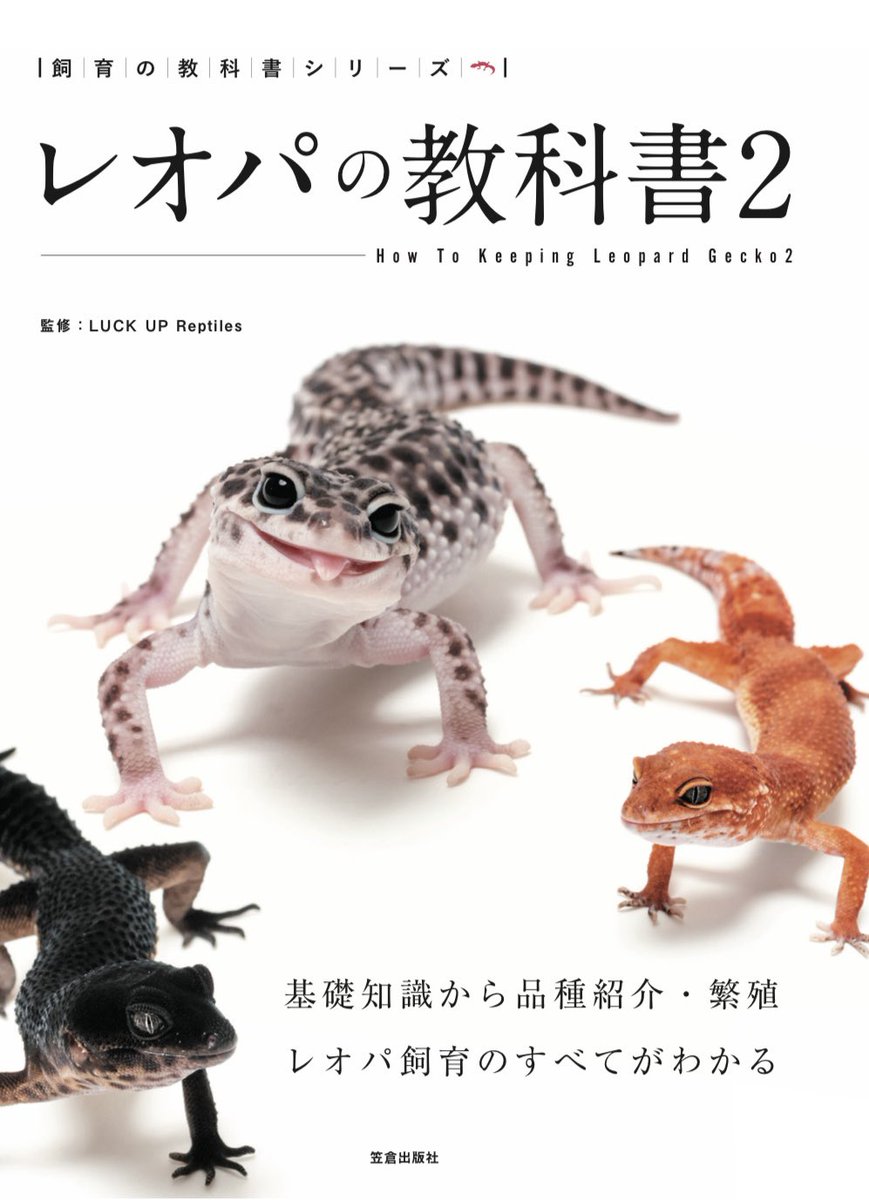LUCKUP_yosshi's tweet photo. 初の監修本📖✨️
本日より全国で販売スタート！
『こういう書き方が分かりやすいかな？』
『よくある相談のアンサーは絶対載せたい！』と色々考えました🙏
この1冊に、初心者さんから多頭飼育されている方にも有益なお話が沢山あります‼️
GETしたら皆さん是非ポストしてください〜🫶

 #レオパの教科書2
