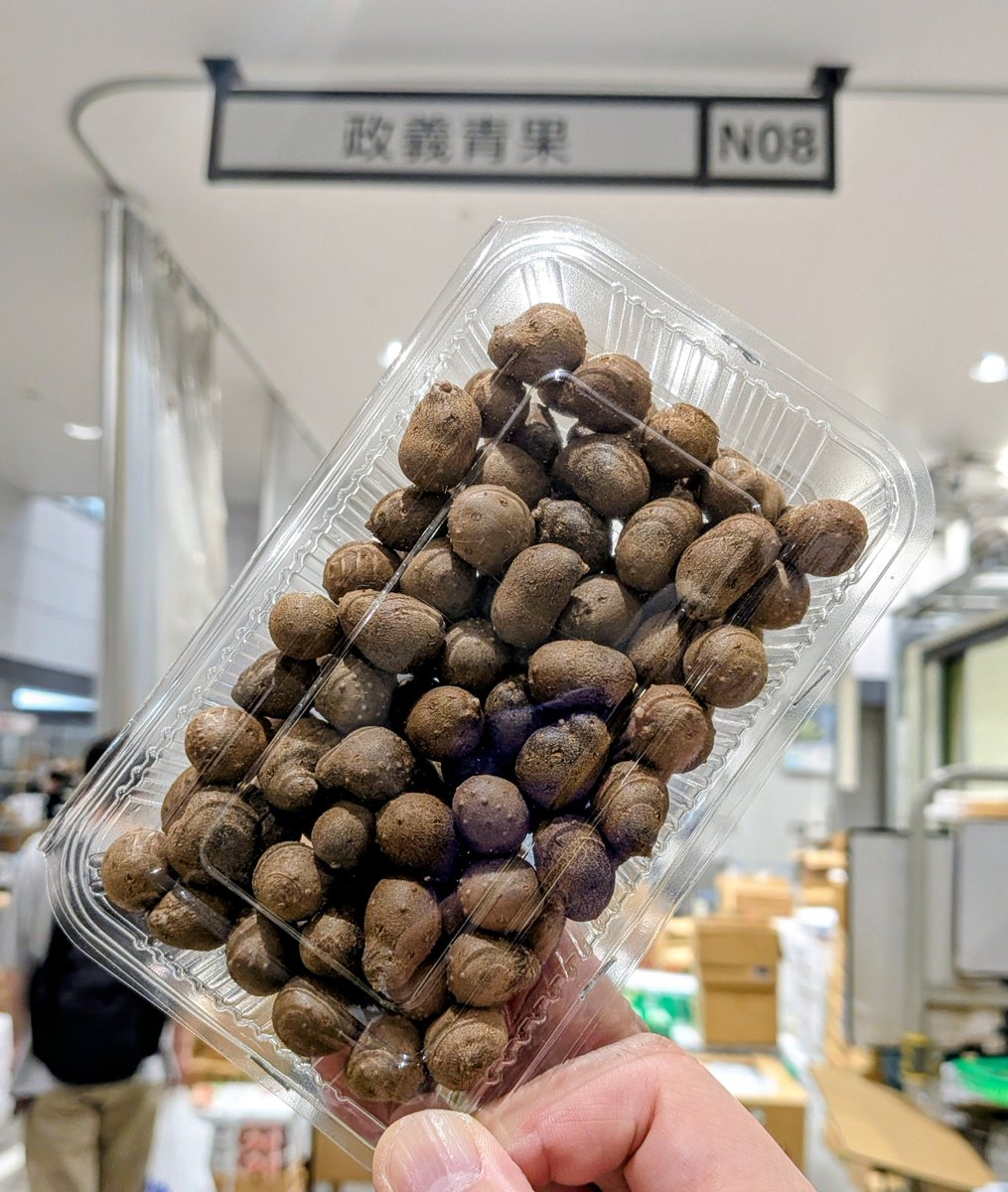 gisyun's tweet photo. 今朝の豊洲市場・政義青果、茨城県よりむかごが入荷しました♫　シンプルに塩茹ででもいいですねー😄 #政義青果 #豊洲市場 #むかご https://t.co/RaNq0k7I0W