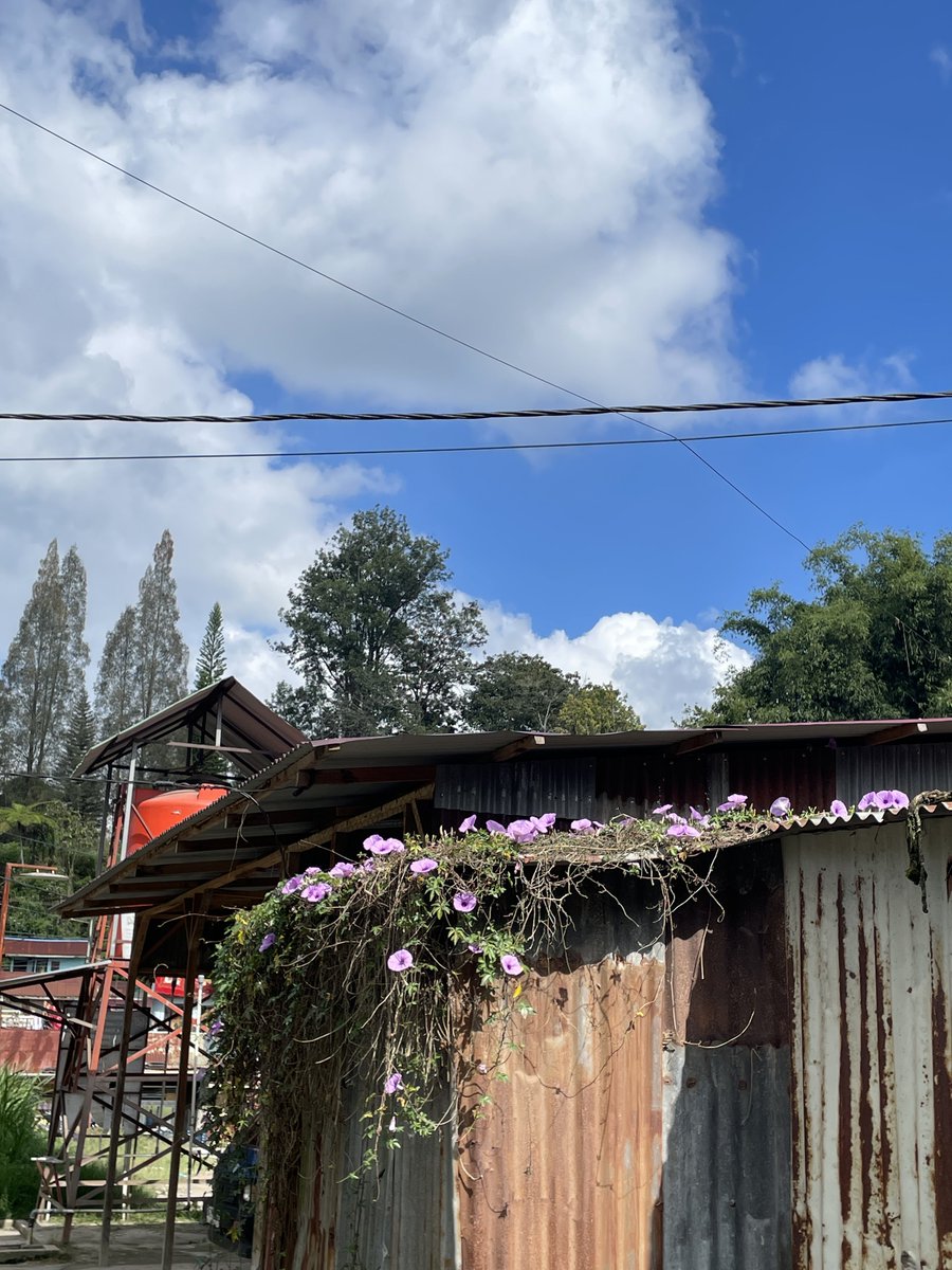 cerisblu's tweet photo. Sempajaya, you took a piece of my heart🥺🤍 https://t.co/65huWacOt6
