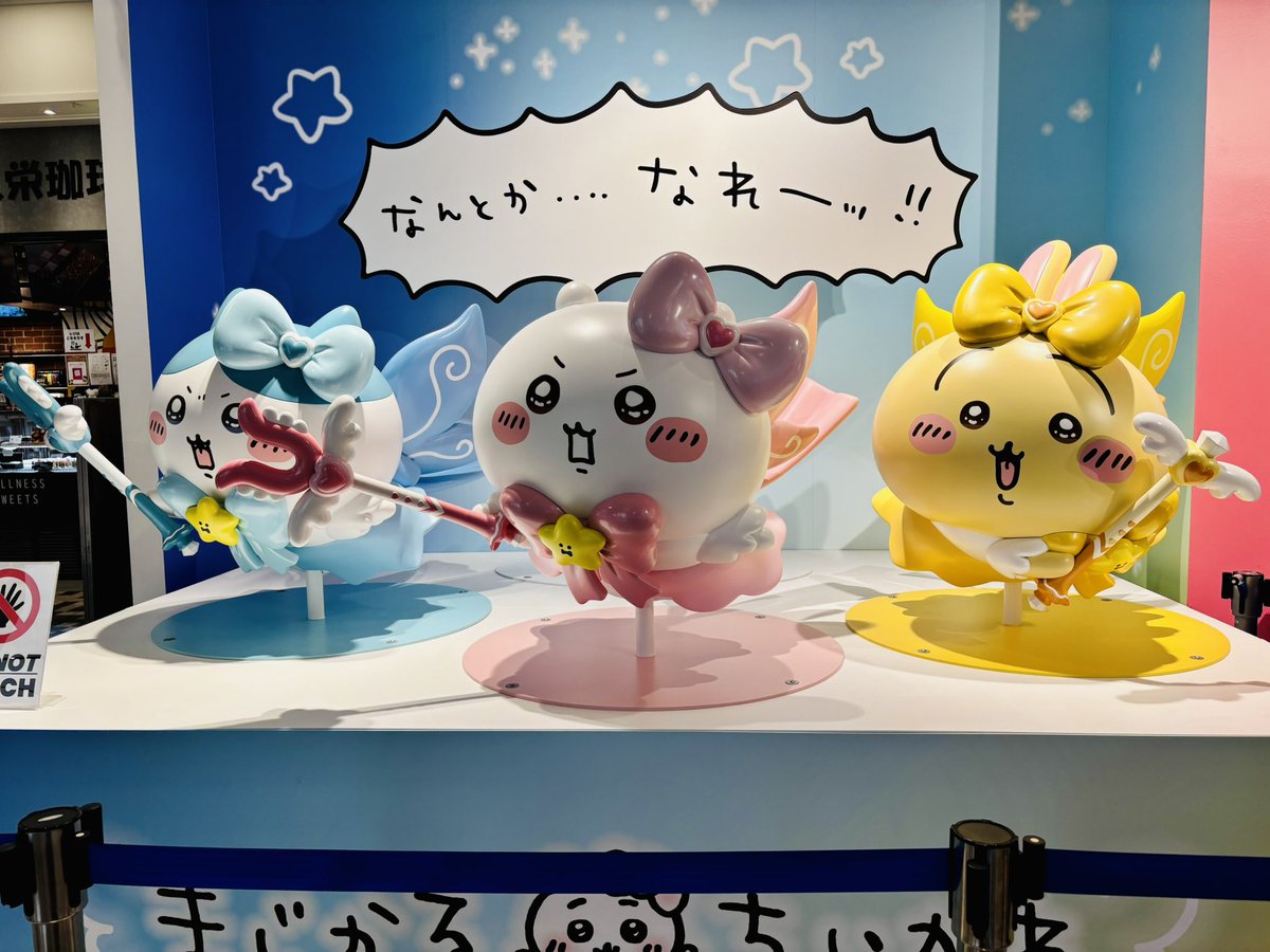 rito0520's tweet photo. かわいい…かわいい… https://t.co/pC08HuSd2O