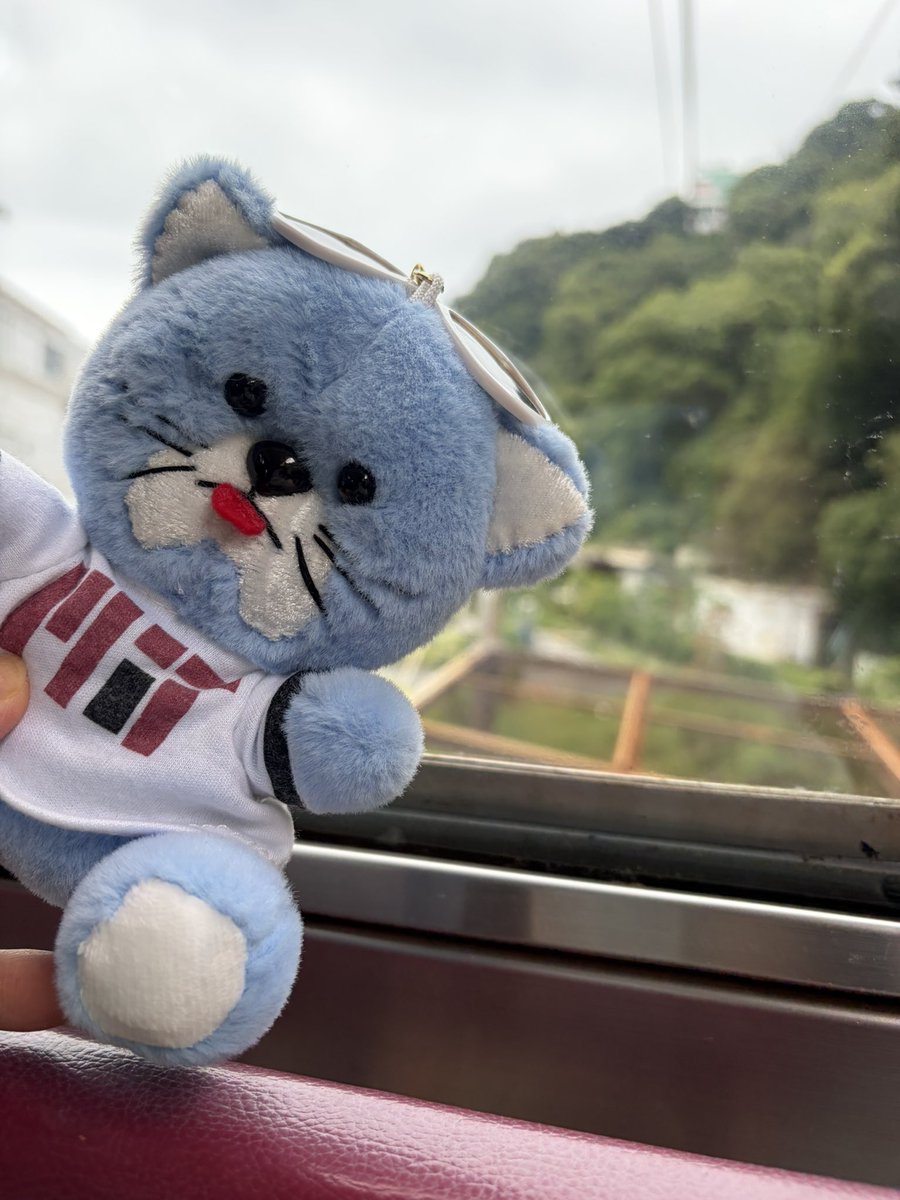Maria2002415's tweet photo. 昨日お散歩で気づいて…

ロープウェイ🚡
登ってみた❣️

あるの知らなかった

帰り
また同じニャン見つけて

ミャーンミャーンって
甘えっ子してた小さい子

女の子ぽい🐈

#熱海
#野良猫
#ロープウェイ https://t.co/0qhArmltOs
