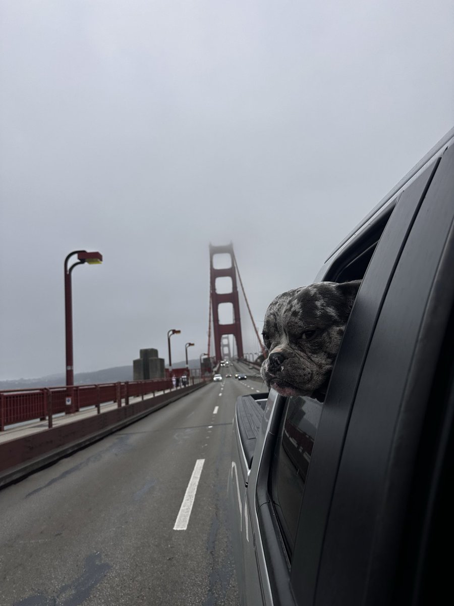 HALFFPNT's tweet photo. Goin where the weather suits my clothes https://t.co/UxpP3pz4VL