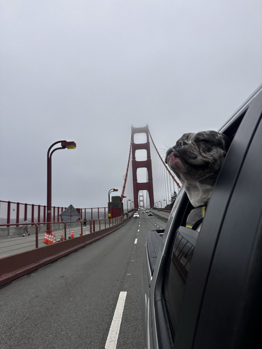 HALFFPNT's tweet photo. Goin where the weather suits my clothes https://t.co/UxpP3pz4VL