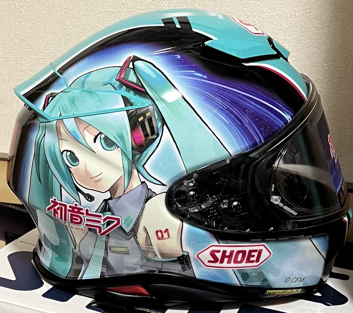 Elis_Miyamura's tweet photo. #初音ミク生誕祭2026
ミクさんお誕生日おめでと~ https://t.co/4G0DCZW2Ne