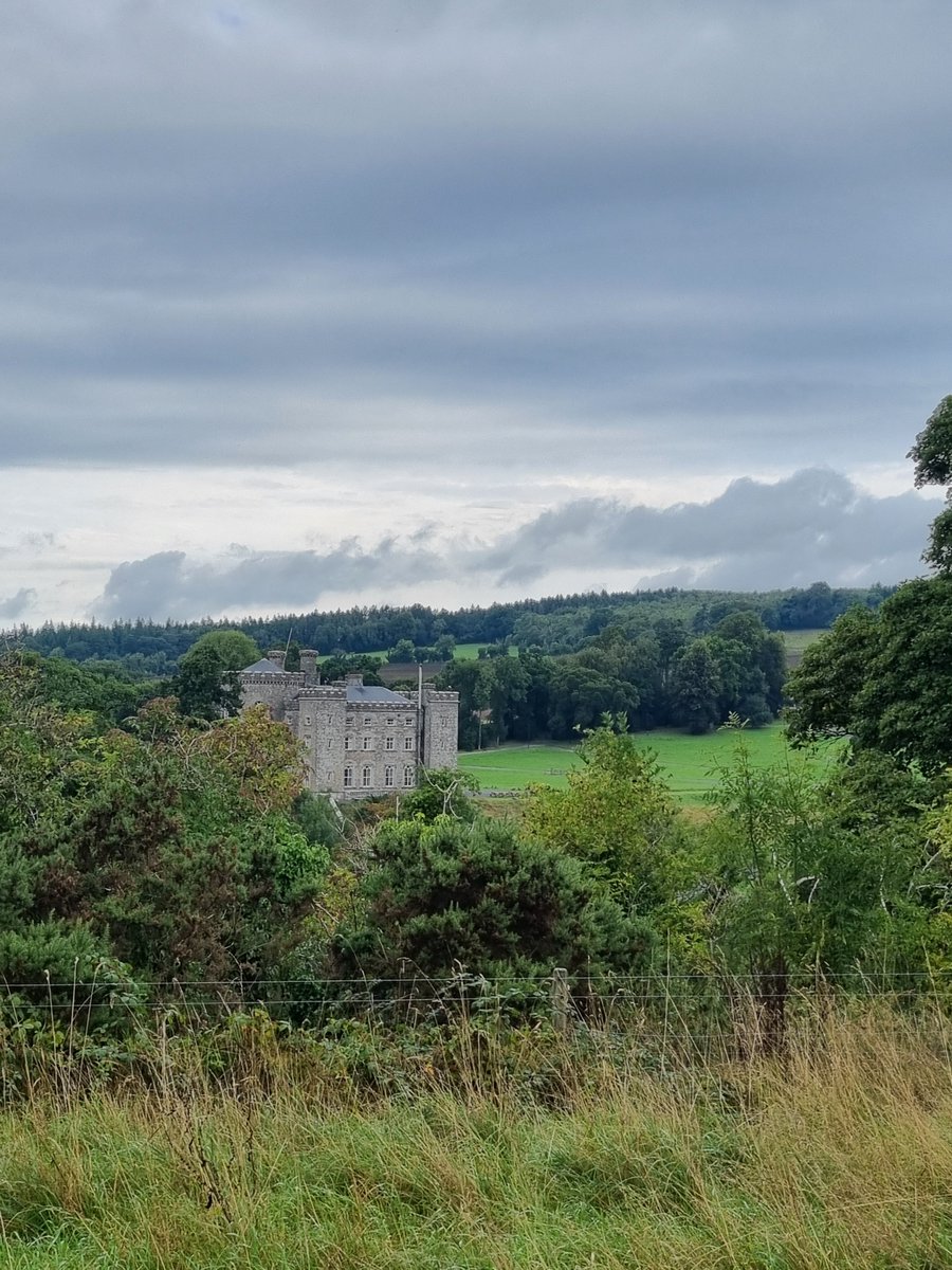 Shur1kenN's tweet photo. Just a normal day at @CastleDAO 

Morning - swimming in the river 
Afternoon- building start-up 
Evening- networking 

Repeat https://t.co/OpIkgMi9gv