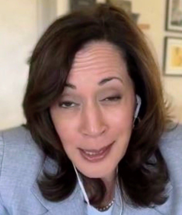 BasedMikeLee's tweet photo. Kamala Harris opposes the SAVE America Act https://t.co/G6j8hWsFnT