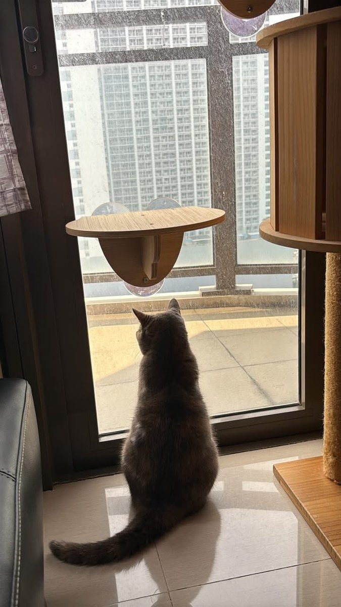 nanYNS's tweet photo. 뭐가 그렇게 흥미로운거야???? https://t.co/ky0FKsIscM