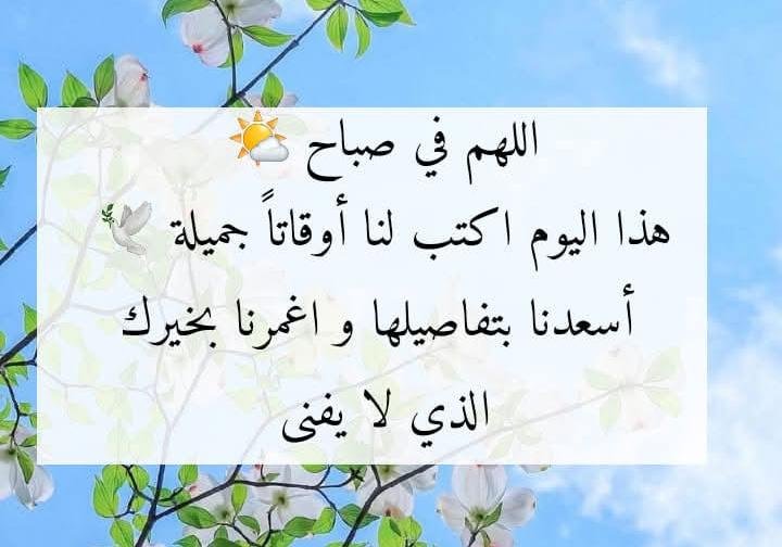 A___R80 tweet picture