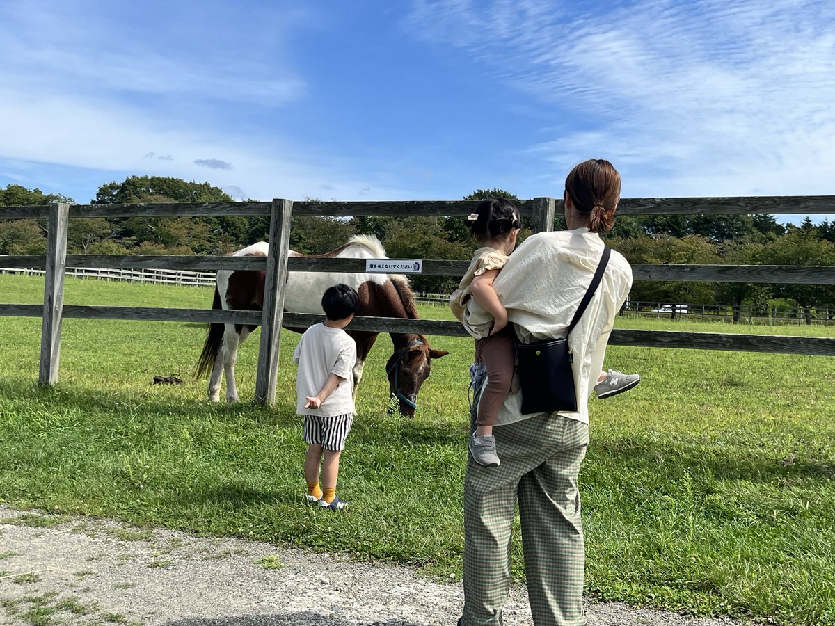 k08y13's tweet photo. にんじん🥕上手にあげれるようになりました😊

ナカヤマフェスタ🐎の献花台にはたくさんの花が💐

孫は来てよし帰ってよし
さて次の任務だ‼️ https://t.co/sWL0k6kWCo