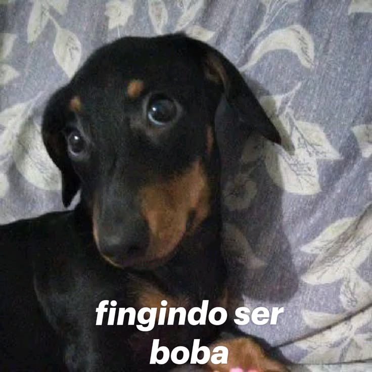 gooflowers's tweet photo. os jikook de date e o padrinho hoseok sempre acompanhando ☺️☺️ 

e quem não concordar problema 🤪 https://t.co/MyR2tPxYmB