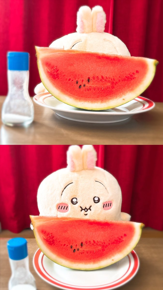 omtmtmt4's tweet photo. ぼっちゃりプルャ(重)とスイカ🍉 https://t.co/IV3ftlJX33