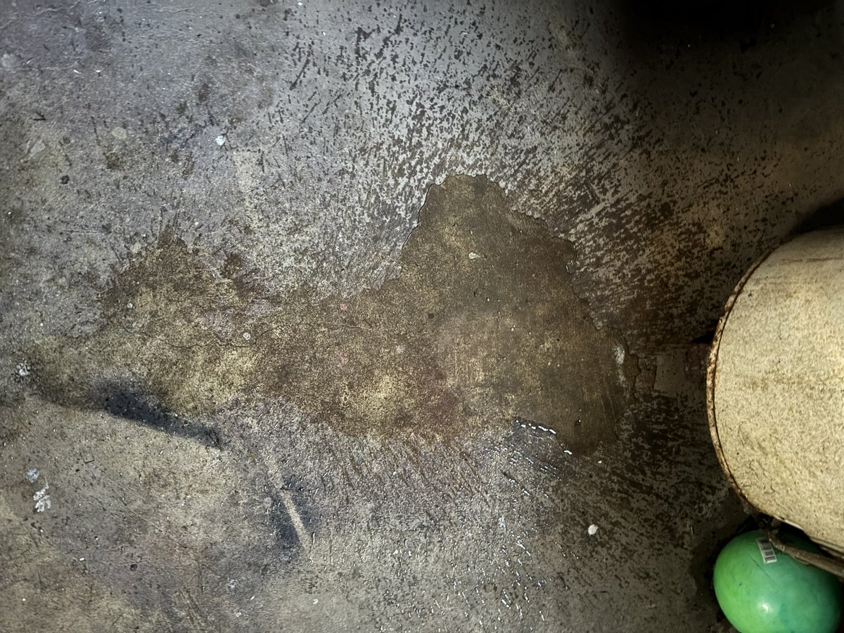 jessleeetee's tweet photo. Had some teeth removed so I’ve been dealing with that so here’s something I forgot to post #pee #peeing #piss #pissing #pissfetish #peefetish #pissmarking #pussy #pisswhereyouwant #peewhereyouwant #peemarking #pissplay #omo #pissslut #peeslut #pissyprincess #peeplay #girlpiss #girlpee #pisskink #peekink #pissfetish #peefetish #girlpee #girlpiss #pissvandal #peevandal