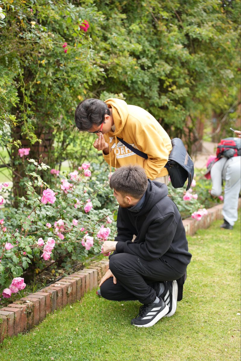 JBotanicoBogota's tweet photo. 💚 Así vivimos los primeros días de la Semana del Bienestar Bogotá: Cultura y Salud para Vivir Mejor: un encuentro para recordar que el bienestar también se construye cuando encontramos espacios para respirar, contemplar, crear y conectarnos con la naturaleza. https://t.co/GF4P8bezva