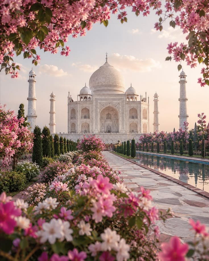 NATURALBEAz2qq's tweet photo. 📍 Taj Mahal, India 🇮🇳 https://t.co/kMy0hrwLvb