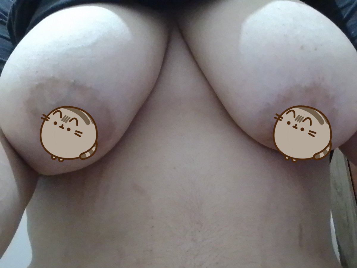 unlovgrl's tweet photo. amo gatinhos #PEITOSWARDSㅤ #XOTAAWARDSㅤ https://t.co/plHtWsNhuA