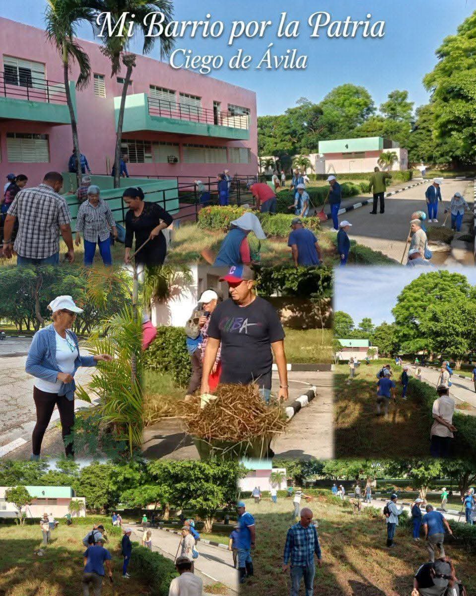 Colina_CTCuba's tweet photo. 🇨🇺 Trabajos voluntarios en todo el país en apoyo a las escuelas y el inicio del curso escolar.
#PorCubaJuntosCreamos
#CubaPorLaVida 
#Cuba https://t.co/rsC3JfC0bM