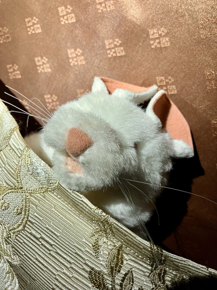 Fukushima_usk's tweet photo. 🟩⚔️剣劇「三國志演技〜蜀漢」⚔️🟩

🐭「今日はみんないなくて静かだなぁ〜、ちょうどお布団あるから寝ちゃおっと、おやすみなさいー💤」

#ちゅーひ
#剣劇三國志 https://t.co/rpzjbjVLWp