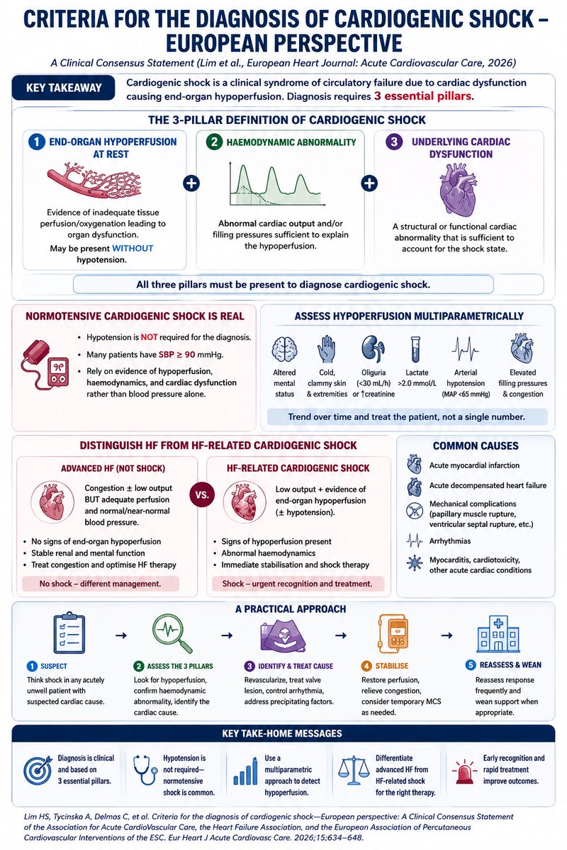 Bernilina's tweet photo. 🫀 Cardiogenic shock ≠ hypotension.

A new 2026 European consensus proposes a 3-pillar definition of cardiogenic shock:

1️⃣ End-organ hypoperfusion at rest
2️⃣ Hemodynamic abnormality
3️⃣ Underlying cardiac dysfunction

🔑 All 3 must be present.

Important implications:
📌SBP >90 mmHg does not exclude shock
📌Normotensive & euvolemic CS are real
📌Use a multiparametric assessment—not a single BP or lactate value
📌Resting hypoperfusion helps distinguish advanced HF from true HF-related CS 

A major step toward a potential Universal Definition of Cardiogenic Shock.

https://t.co/djse5dPQqn

#CardiogenicShock #HeartFailure #Cardiology #CriticalCare #CICU #Hemodynamics