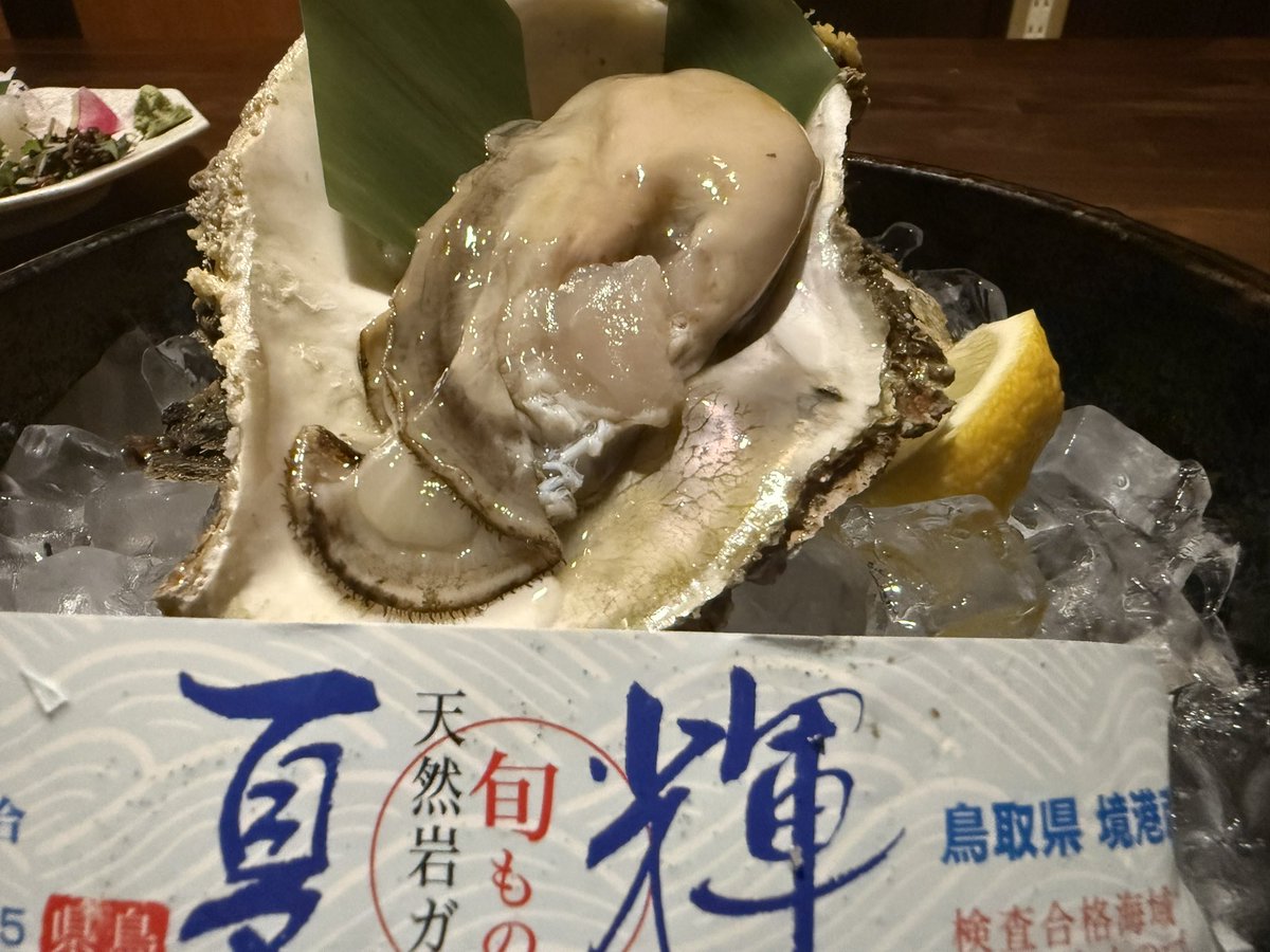officeBLG21's tweet photo. 9月15日まで「鳥取の夏 海のごちそうキャンペーン」が実施されているということで、今回はキャンペーンの参加店舗の「こうりん坊 山月庵」さんにおじゃましました！
夏輝の貫禄はマジすげー！！（笑）
https://t.co/nlAIRhcbB4

#鳥取グルメ
#イワガキ
#夏輝
#シロイカ
#とりたべ
#こうりん坊
#山月庵 https://t.co/lIamahj48Q