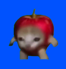 iamthebundle's tweet photo. @stambouli_o1 @1CrypticPoet @base @o1_exchange what about an apple and a cat? paired with apple 😂 https://t.co/UDaY3cYY8g