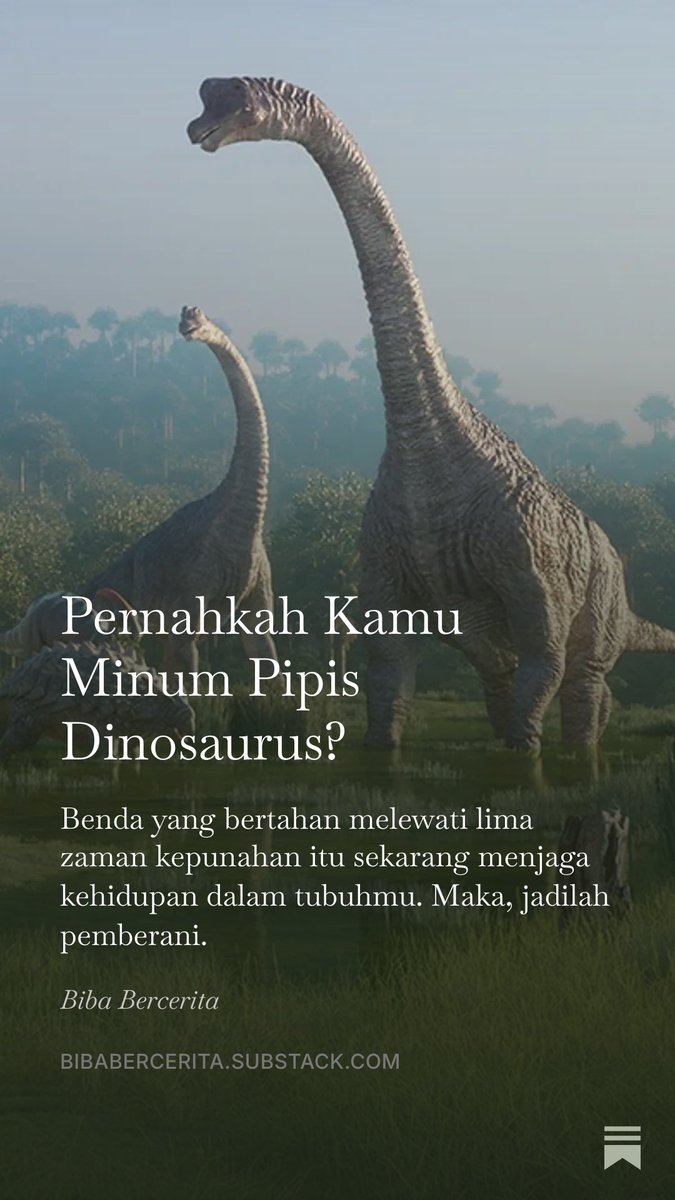 bibabercerita's tweet photo. Senang sekali bisa menulis artikel-artikel ini di sepanjang Agustus ✨

Dari marah-marah, ramah-ramah, agamis, politis, pipis, semuaaa suka-suka.

Semoga September nanti aku bisa menulis soal T-Rex yang ternyata berbulu seperti ayam atau Sauropoda—dinosaurus terbesar di dunia—yang otaknya cuma sebesar apel 🦕🦖