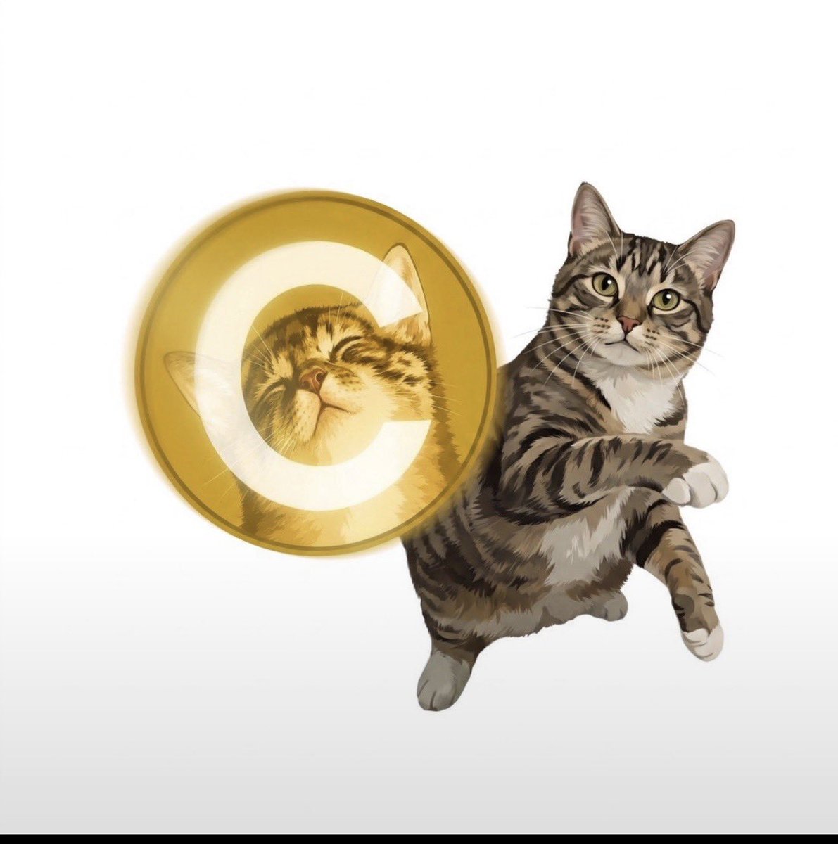 BarBarrBinks's tweet photo. You don’t have enough $CATE

. https://t.co/HSuG2caa58