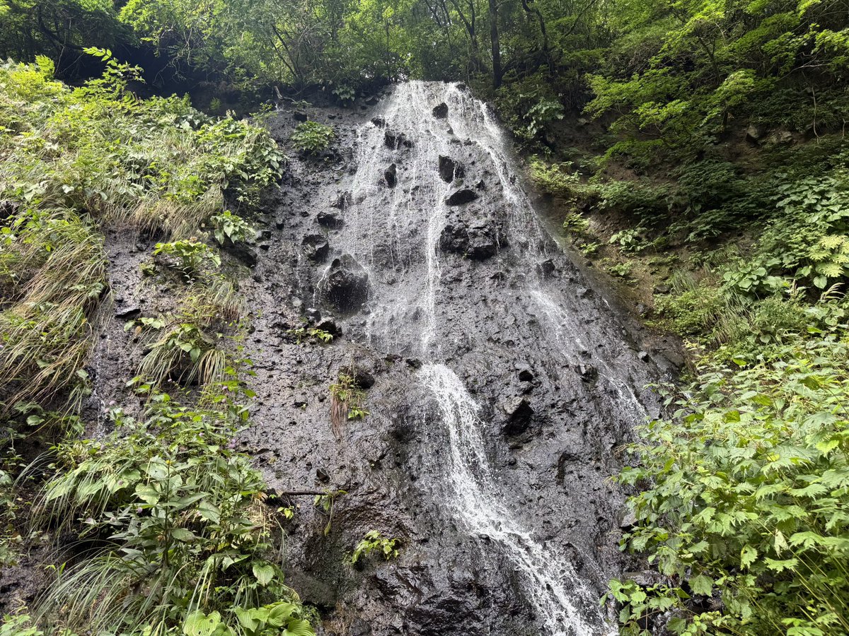 tono003's tweet photo. お天気の運はかなりいい方だ。
山形県鶴岡地方は曇りの予報だったが、よく晴れた。
羽黒山は予想以上に素晴らしい場所だった。 https://t.co/lnyrSMXcqB