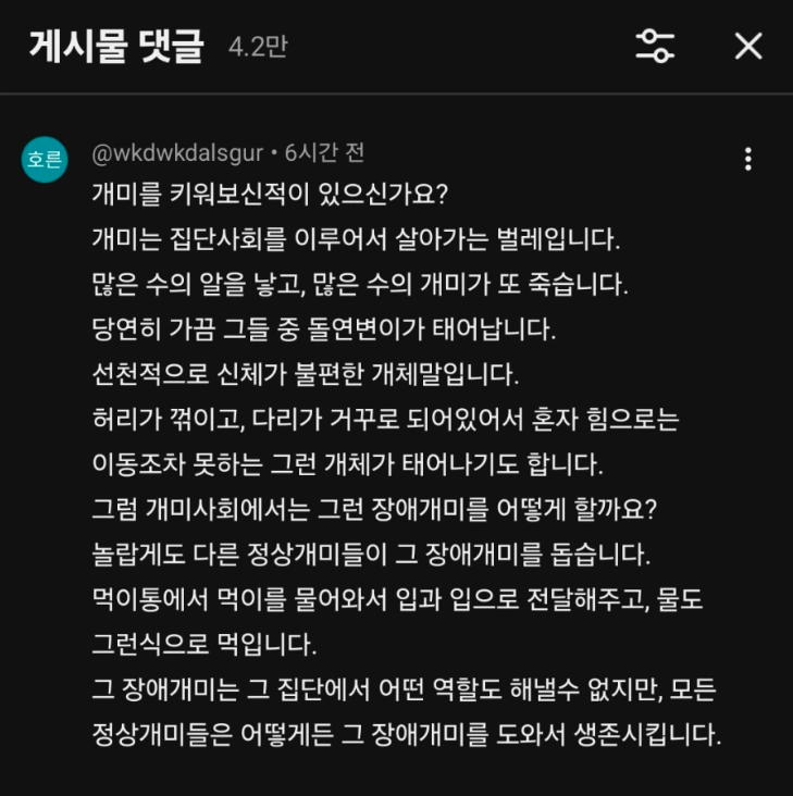 1114's tweet photo. 박위 유튜브 채널에 달린 살벌한 댓글 https://t.co/oe2tvcaKhR
