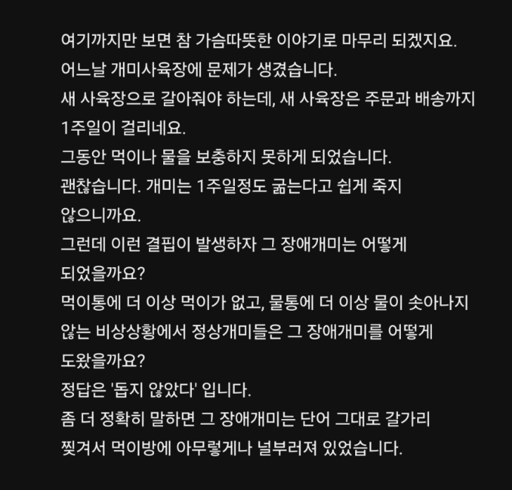 1114's tweet photo. 박위 유튜브 채널에 달린 살벌한 댓글 https://t.co/oe2tvcaKhR