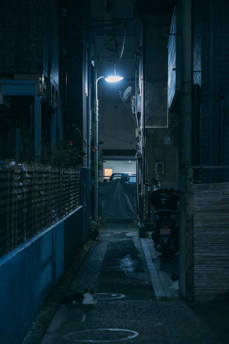 imari33_photo's tweet photo. TOKYO NIGHT WALK https://t.co/nDwTaJ1GOw