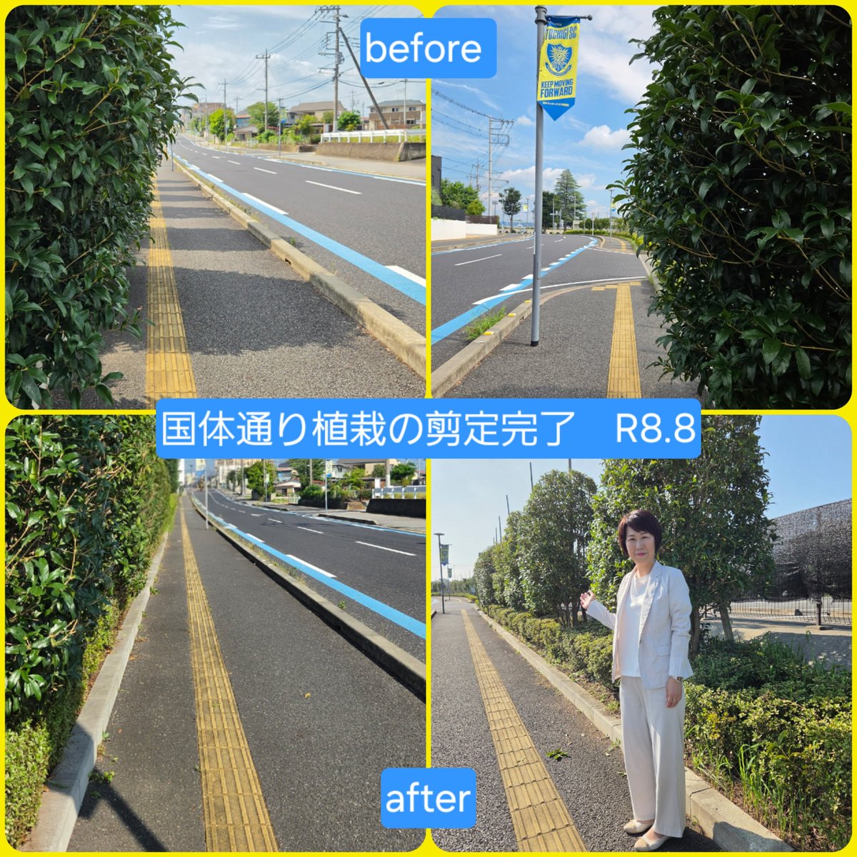 junkoiwai's tweet photo. 🌏国体通り植栽剪定完了　R8.8月

🍀総合グランド西駐車場側歩道に点字ブロックがあります
🌲そこを歩いているかたより、点字ブロックの頭上に植栽の枝が伸びてきていて、点字ブロック沿いに歩くと当たってしまうので、枝を切って欲しいとのご相談を頂きました
🌱綺麗に植栽をカットして頂きました！ https://t.co/IHW3nCvkBU