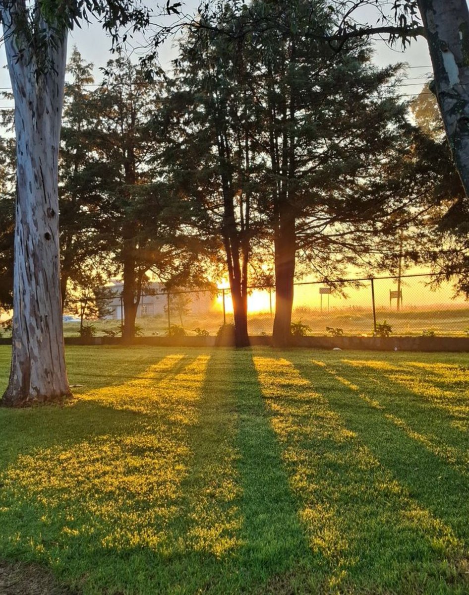 ama_official__'s tweet photo. Good morning, Monday. ☀️

Leaving last week behind and stepping into this new week with a positive mind and peaceful heart. 🌿 https://t.co/1aHAxxI3AD