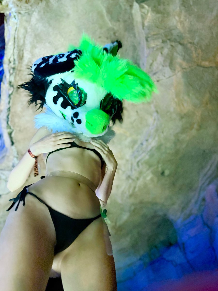 fur_real_tho's tweet photo. Woof woof I have my puppy bikini on do you like it???? 
#furry #fursuit https://t.co/1z2AecIu4X