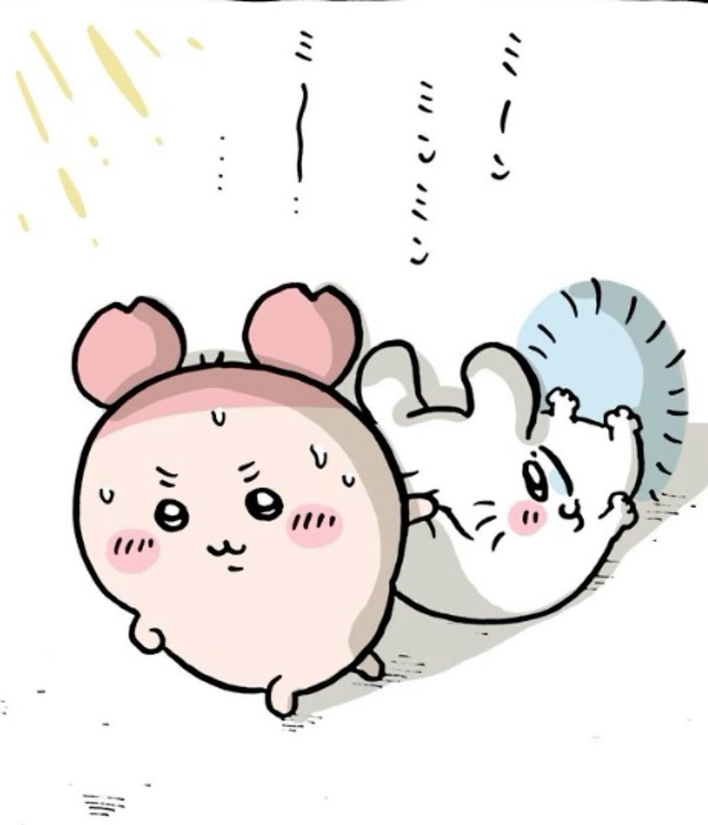 zdalks's tweet photo. 요즘 카니가 너무 조음
예쁘잖아 https://t.co/9JXG3PS4v7