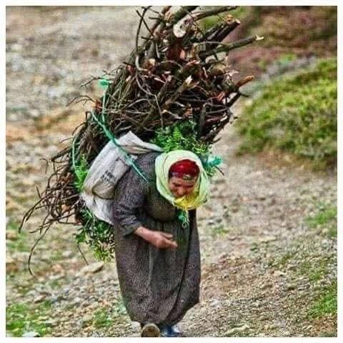 AliSere20's tweet photo. Bir şarkı vardı.
"Eylül'de gel" diye.
Eylül geldi, kapıda bekliyor.
Ağustos da vedaya hazırlanıyor..
Hayat işte...
Herkese #iyihaftalar diliyorum...
Sağlıklı,
Mutlu,
Bereketli...☕🎶🌺📚🙋 https://t.co/tj4WSRfJPi