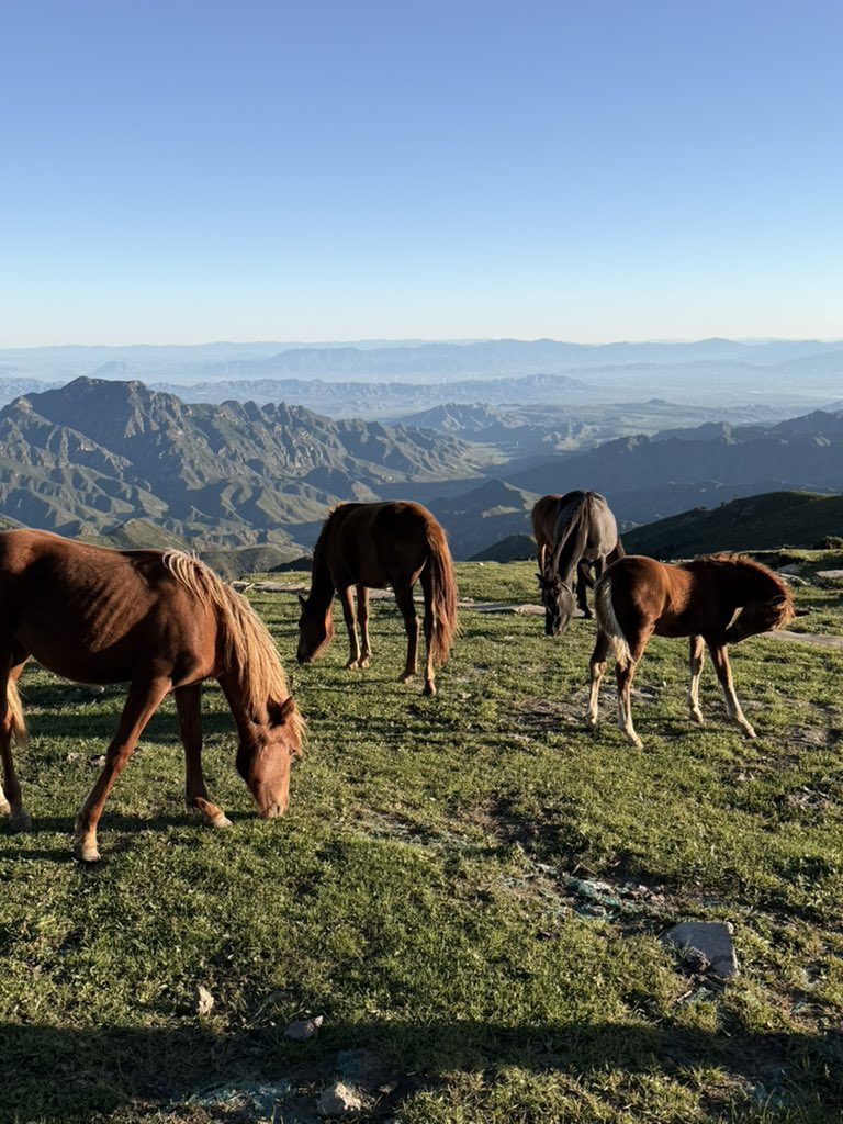 Lv_Agbuildvb's tweet photo. ⛰️ https://t.co/2oVb1CzAQB