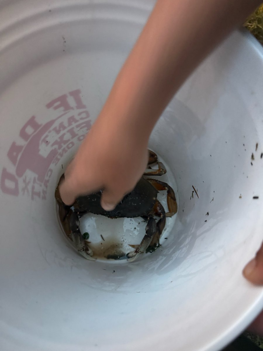 Antons_profile's tweet photo. @R_Jam17 It’s in a bucket the flash made it look like that 😂 https://t.co/SfSOIvvGRC