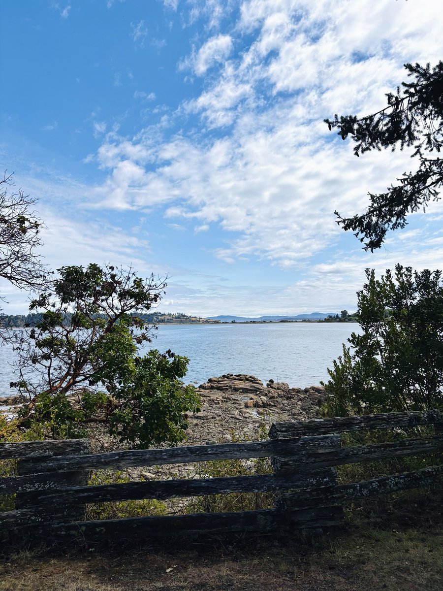 _mentafresca_'s tweet photo. Vancouver Island
#britishcolumbia 🇨🇦 https://t.co/fCEkvdr8sw