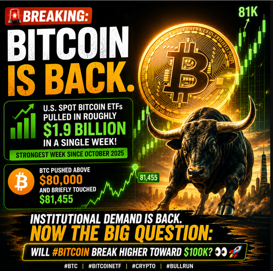 LightOfBitcoin tweet picture
