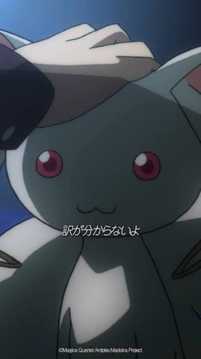 kusyu0704's tweet photo. りんちゃんこの坂道だらけの道をチャリで登ったの？
ほへ？？？？？？？ https://t.co/LPBIySkuAz