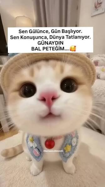 Serdar54's tweet photo. Günaydın sevgili takipçilerim ☀️

Yeni bir haftaya merhaba. Umarım bu sabah içinize enerji, gününüze kolaylık ve kalbinize huzur gelir. Adımlarınız emin, içiniz ferah olsun.

İyi ki buradasınız.  
Gününüz aydınlık, haftanız güzel geçsin 💛 https://t.co/Ck7LZqHVEt