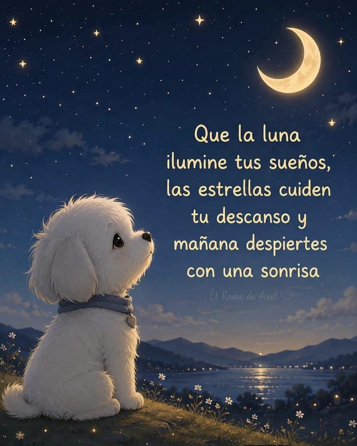 Rebecacph's tweet photo. #BuenasNoches✨🍄 https://t.co/m4A83YYoLd